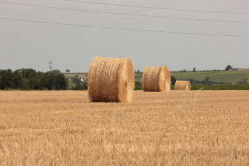 Straw Field Agriculture Summer Cereals Landscape