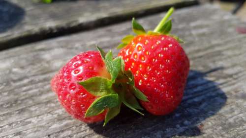 Strawberries Fruits Fruit Red Fresh Food