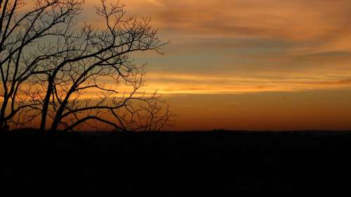 Sun Tree Orange Shadow Nature Landscape Trees