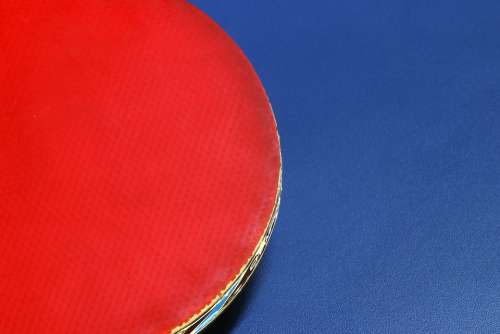 Table Tennis Ping-Pong Ball Games Sport Hobby