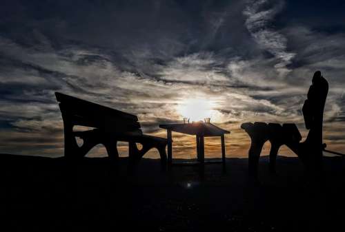 Tea Loneliness Sunset Nature