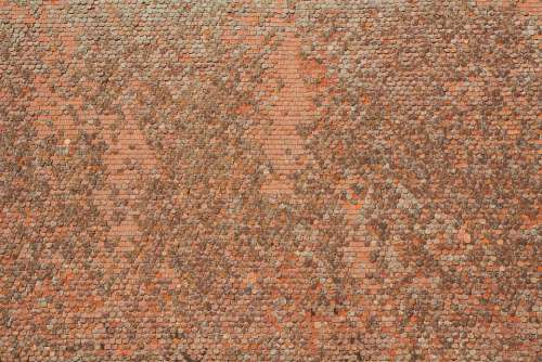 Tiled Roof Tile Roof Pattern Texture Housetop