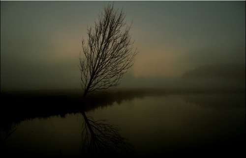 Tree Fog Sunrise Haze Scenic Mystical Water Lake