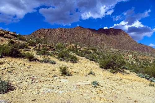 Tucson Mountain Park Desert Mountain Landscape