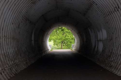 Tunnel Tree Light Dark Center Deciduous Tree Tube