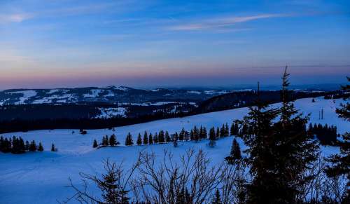 Twilight Landscape Winter Forest Fir Snow