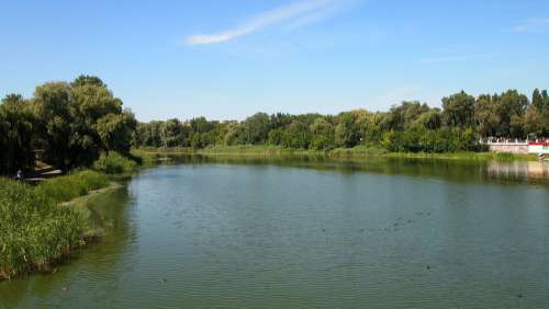 Ukraine Mirgorod River Summer Travel Nature Trees