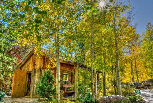 Vail Colorado Foliage Log Cabin Landscape Usa