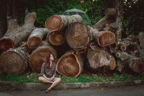 Vietnam Tree Log Girl Olga Ozik Texture Nature