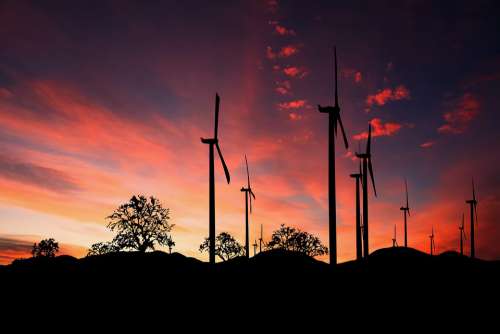 Wind Turbines Sunset Energy Environment Landscape