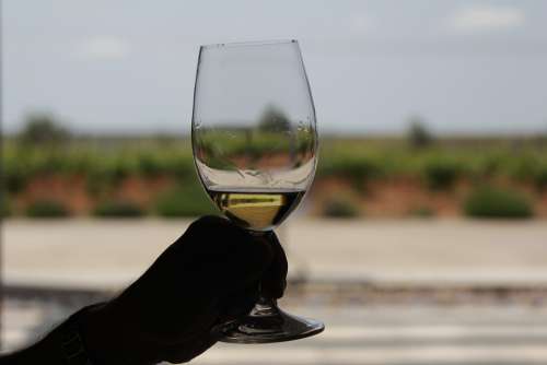 Wine Glass White Wine Wine Glasses Transparent