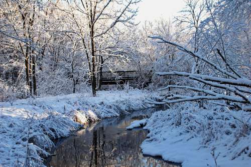 Winter Bridge Water Snow Trees