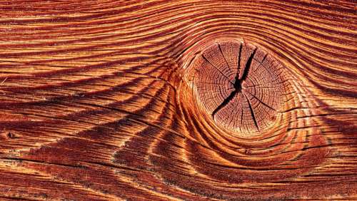Wood Structure Texture Surface Annual Rings