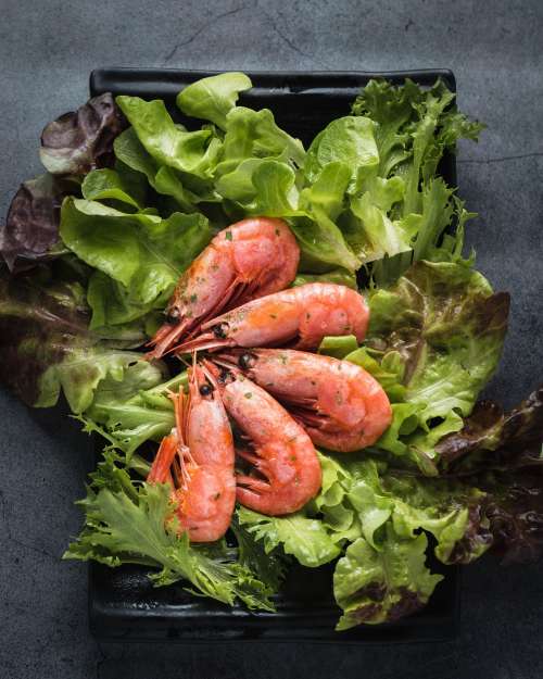 King prawns with green lettuce