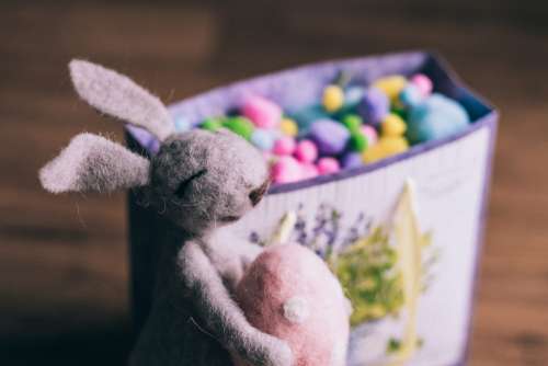 Easter bunny gift 6