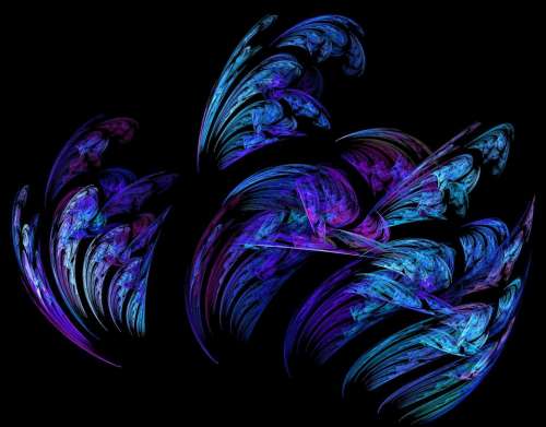 fractal flame fractal Apophysis black background
