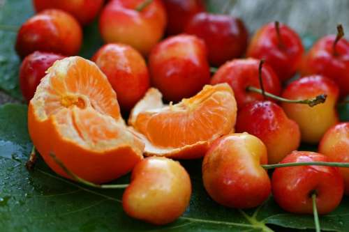 tangerine   orange   cherries   cherry   photos