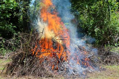 flame fire twigs garden debris smoke