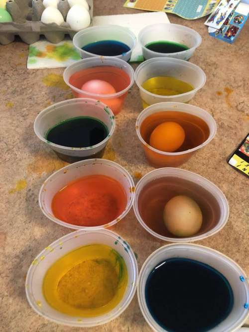 Easter Eggs Color Colored Decorate