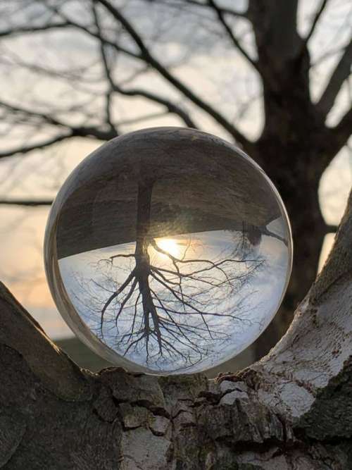 Orb sphere illusion reflection surreal