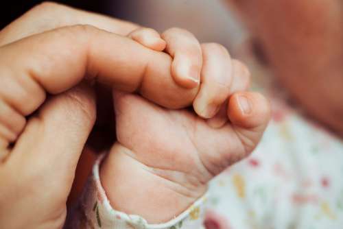 Newborn Baby Holding Adult Finger