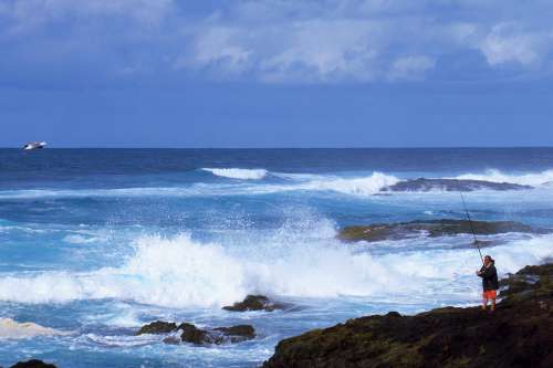 Blue Ocean Waves Sea Water Fishing Bird Volcanic
