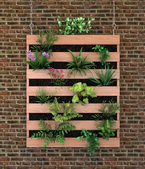 Brick Wall Wood Plants Leaves