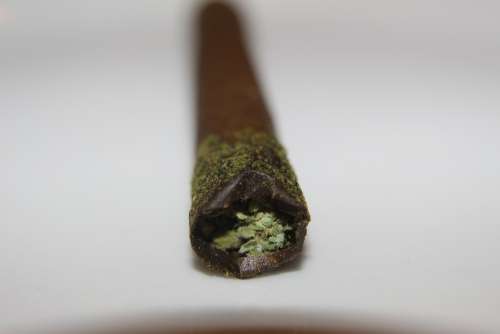 Canna Stick Infused Pre-Rolled Joint Blunt Marijuana