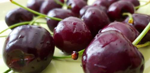 Cherry Fruit Fresh Organic Delicious Fruits