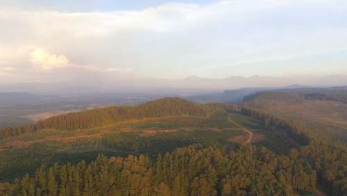 Chile Forest South Mountains Unesco Nature Trees