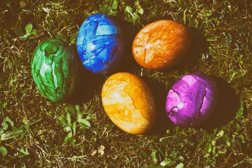 Easter Egg Colored Easter Eggs Colorful Spring