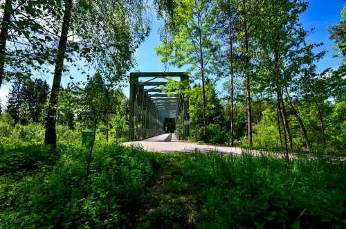 Hiking Bridge Nature Pedestrian Bridge Architecture