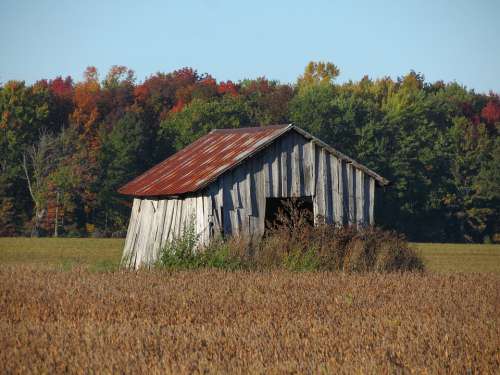 Hut Shed Derelict Ruin Abandoned Wooden Deserted