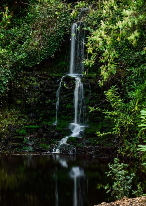 Landscape Nature Waterfall Forest