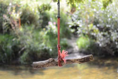 Nature Play Tarzan Rope Swing Water River Fun