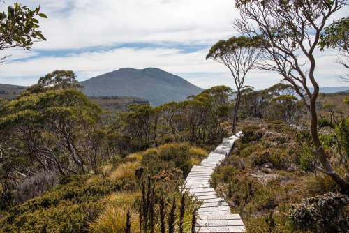 Overland Track Tasmania Wilderness Nature Landscape