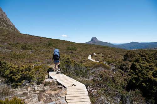 Overland Track Tasmania Wilderness Nature Outdoors