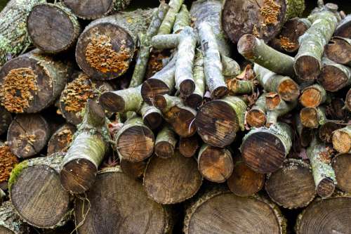Ozark Firewood Firewood Logs Wood Log Fuel Stack