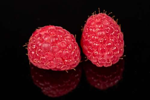Raspberry Berry Red Fresh Vitamins Fruits Fruit