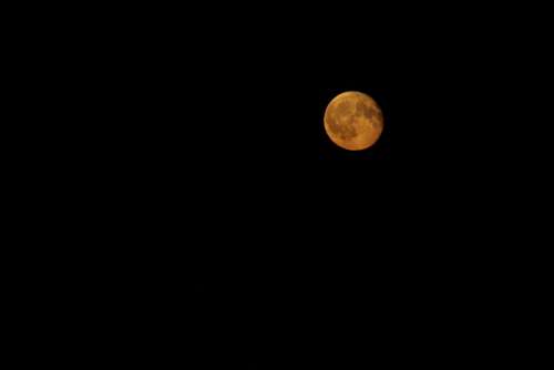 Red Moon Moon Dark Night