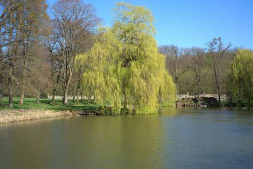 Spring Pond Calden Tree Lake Water Park Nature