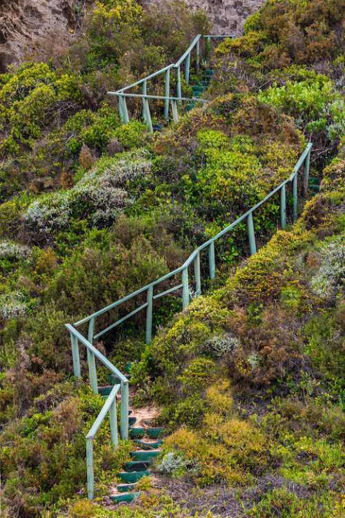 Stairway Handrails Steps Stairs Ambition Bush