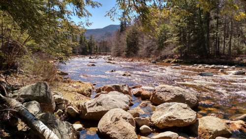 Stream Water Nature Landscape River Scenic