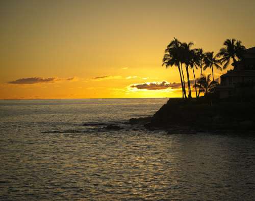 Sunset Orange Ocean Silhouette Palm Trees Sea Sky
