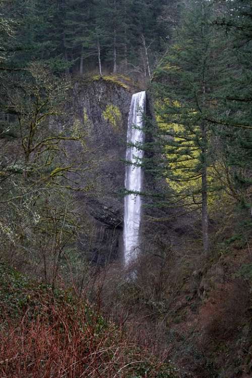 Waterfall Oregon Nature Landscape Scenic Outdoors