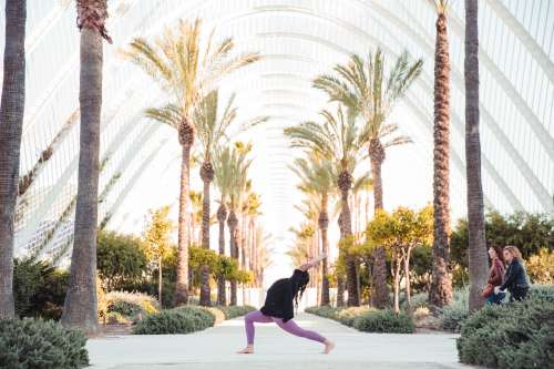 Arboretum Yoga Photo