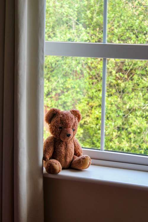 Lone Brown Teddy Bear Sitting On Window Ledge Photo