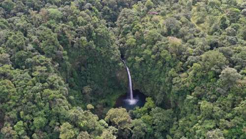 Waterfall Hidden In Forest Photo