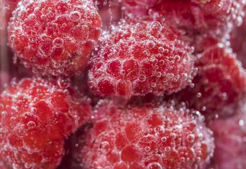 Close up bunch of fresh raspberries