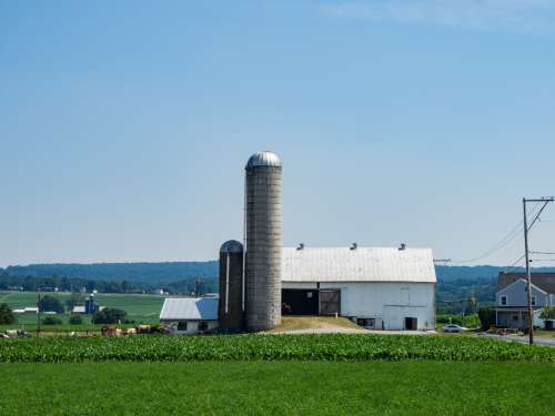 Farms with Barns and Silos